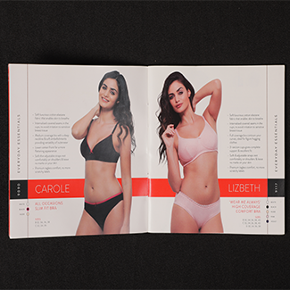 brochures14